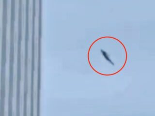 “God-Like” Flying Humanoid Terrifies Expert After Appearing Over Tokyo Tower