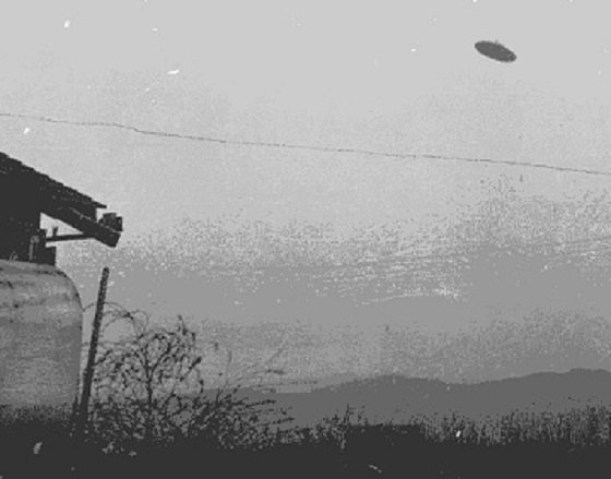 Image 9:The Jet-Black Disk Over Tokyo: A Definitive Analysis of a Genuine "Black UFO"