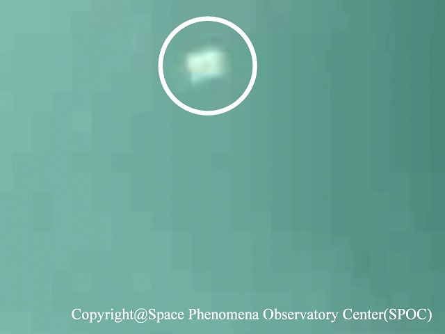 Image 6:The "Black Manta" of Tokyo Bay: Robotic Observatory Captures a Bizarre, Living UFO