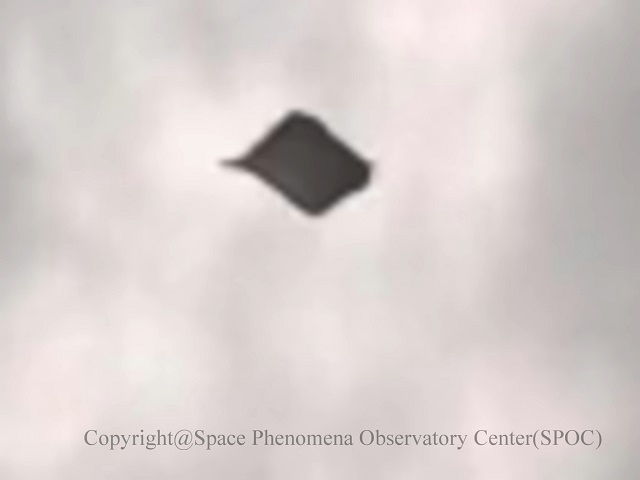Image 1:The "Black Manta" of Tokyo Bay: Robotic Observatory Captures a Bizarre, Living UFO