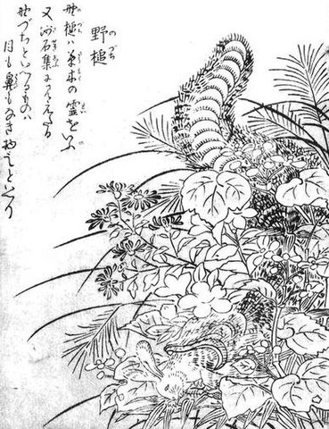 Image 4:Tsuchinoko: The Definitive Guide to Japan's Legendary Snake Monster and its $1 Million Bounty