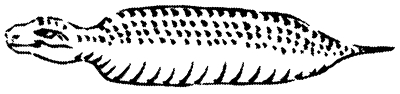 Image 2:Tsuchinoko: The Definitive Guide to Japan's Legendary Snake Monster and its $1 Million Bounty