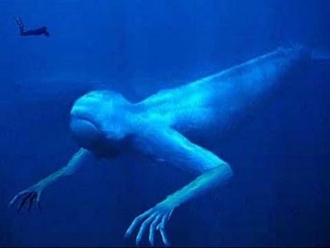 Image 3:The Ningen of Antarctica: Japan's Terrifying Urban Legend of a Humanoid Sea Monster