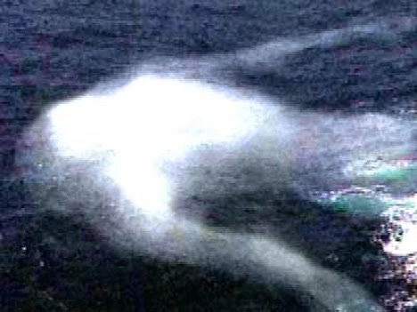 Image 4:The Ningen of Antarctica: Japan's Terrifying Urban Legend of a Humanoid Sea Monster
