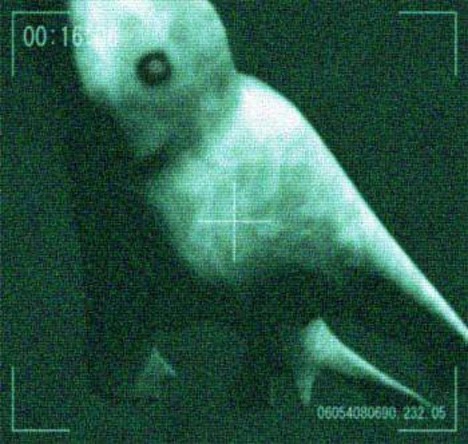 Image 2:The Ningen of Antarctica: Japan's Terrifying Urban Legend of a Humanoid Sea Monster