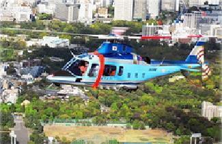 Image 3:Japan's "Tic Tac" Incident: Did Police Helicopters Intercept a UFO Over Tokyo Before the COVID Lockdown?