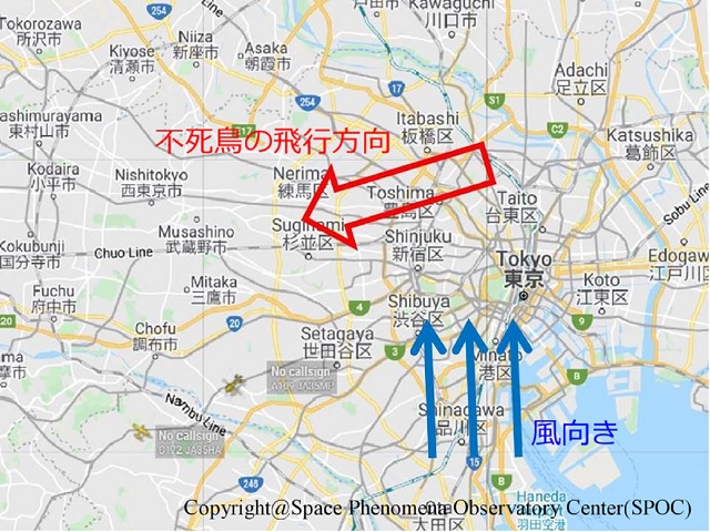 Image 2:A Real-Life Phoenix? Massive "Firebird" UFO Photographed Over Tokyo, Bringing Good Fortune to Witnesses